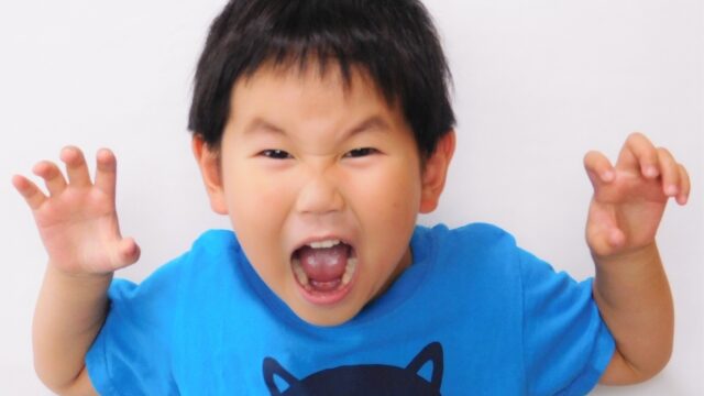 Uiui先輩が嫌いで年齢がおかしすぎる ものまねが似てないとの声も 毎日にほんのちょっぴりスパイスを