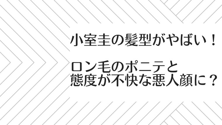小室圭の髪型がやばい ロン毛のポニテと態度が不快な悪人顔に 毎日にほんのちょっぴりスパイスを