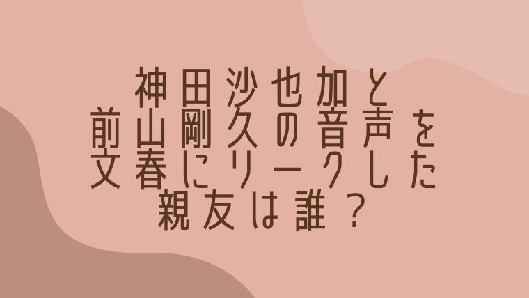 神田沙也加の親友は誰 前山剛久の音声を文春にリークし思いを晴らす 毎日にほんのちょっぴりスパイスを